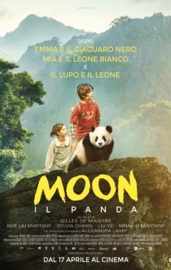 Moon Il Panda
